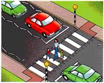Zebra Crossing Picture