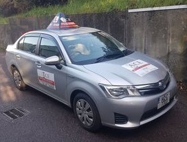 Driving School Car